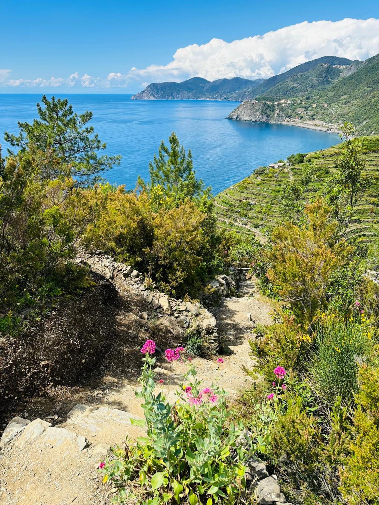 Ferienwohnung Al Castello Riomaggiore Exterior foto